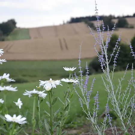 Nyaraló U Jasanu *