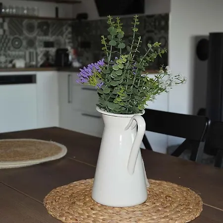 U Jasanu 펜션 Vílanec